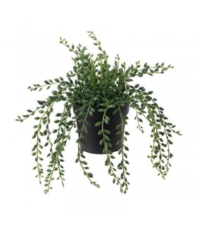 گلدان و بوته ایکیا مدل FEJKA