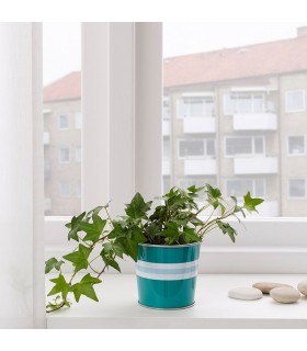 گلدان متوسط ایکیا مدل SKURAR