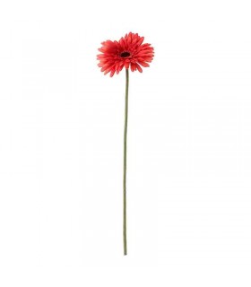 شاخه گل ژربرا ایکیا مدل SMYCKA رنگ قرمز
