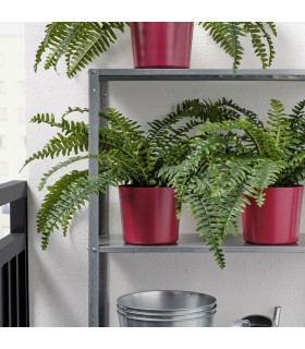 گلدان ایکیا مدل OMFÅNG سایز 15 سانتی متری