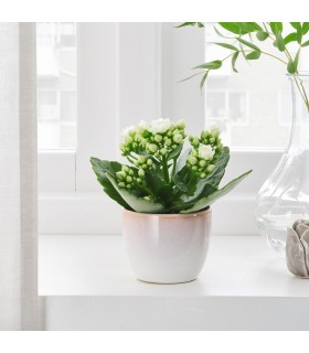 گلدان سرامیکی ایکیا مدل GRÄDDÄPPLE