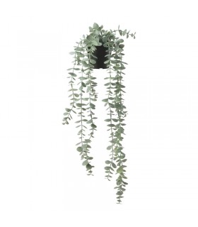 بوته آویز اکالیپتوس ایکیا مدل FEJKA