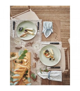 بشقاب ایکیا مدل FÄRGKLAR قطر ۲۶ سانتی متر