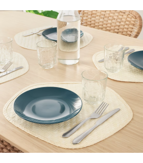 زیر بشقابی حصیری ایکیا مدل PADDFISK