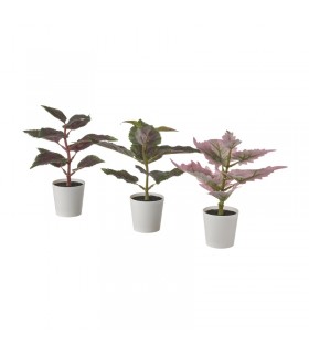 ست ۳ تایی بوته گل گزنه ایکیا مدل FEJKA