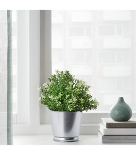 بوته آویشن کوهی ایکیا مدل FEJKA