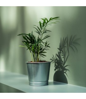 گلدان ایکیا مدل BINTJE