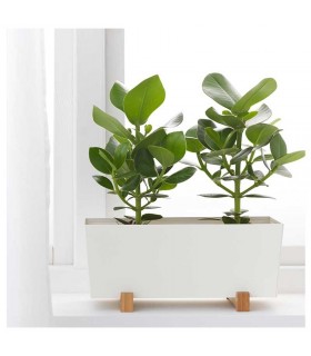 گلدان پایه بامبو ایکیا مدل BITTERGURKA