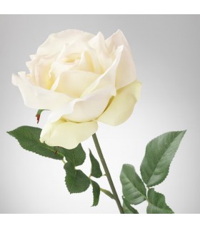 شاخه گل رز ایکیا مدل SMYCKA سفید ۷۵ سانتی متر
