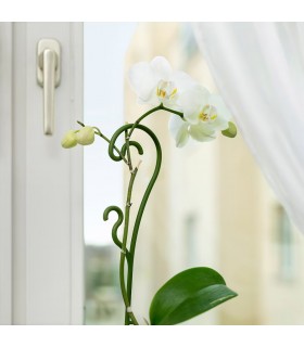 نگهدارنده گیاه ایکیا مدل KERMESBÄR