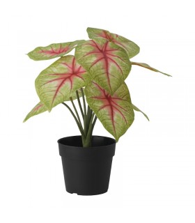 بوته گل dasheen ایکیا مدل FEJKA