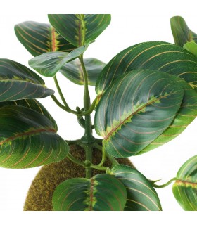 بوته پتوس خزه ایی ایکیا مدل FEJKA