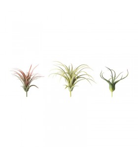 ست ۳ تایی بوته معلق ایکیا مدل FEJKA