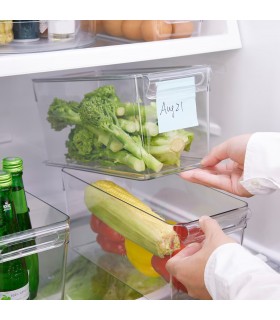 باکس یخچالی ایکیا مدل KLIPPKAKTUS سایز 32x14x15