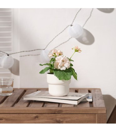 گل شمعدانی ایکیا مدل FEJKA سایز ۲۳ سانتی متری