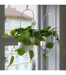 بوته گیاه سبز پتوس ایکیا مدل FEJKA