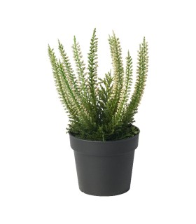 بوته گل هدر ایکیا مدل FEJKA