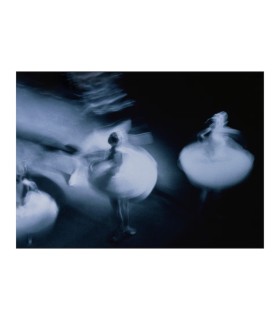 تابلو بوم ایکیا مدل PJÄTTERYD سایز 50x70 طرح رقص باله