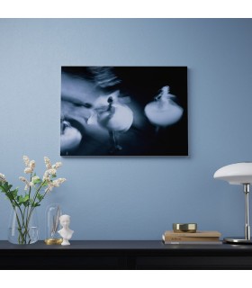 تابلو بوم ایکیا مدل PJÄTTERYD سایز 50x70 طرح رقص باله