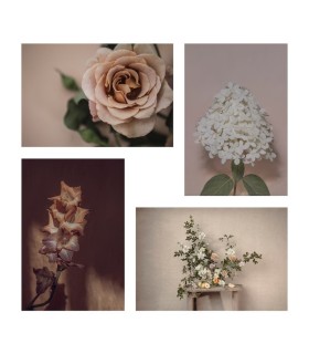 ست ۴ عددی پوستر ایکیا مدل YLLEVAD طرح گل