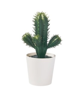 کاکتوس ایکیا مدل FEJKA