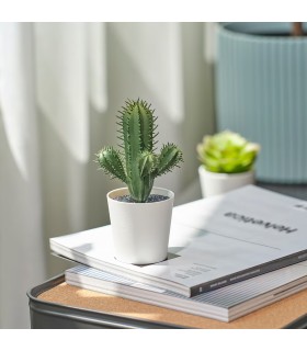 کاکتوس ایکیا مدل FEJKA