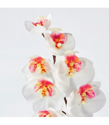 شاخه گل ارکیده سفید ایکیا مدل SMYCKA