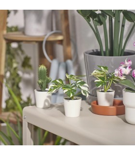 بوته مونسترا ایکیا مدل FEJKA