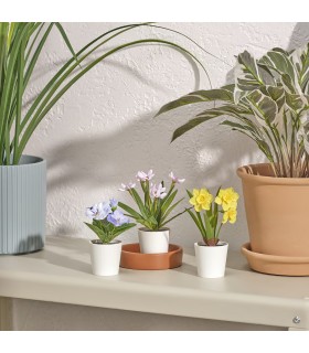 بوته های گل ایکیا مدل FEJKA ست ۳ تایی