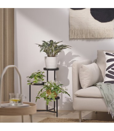 بوته کالاتیا ایکیا مدل FEJKA