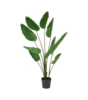 درختچه پرنده بهشتی ایکیا مدل FEJKA