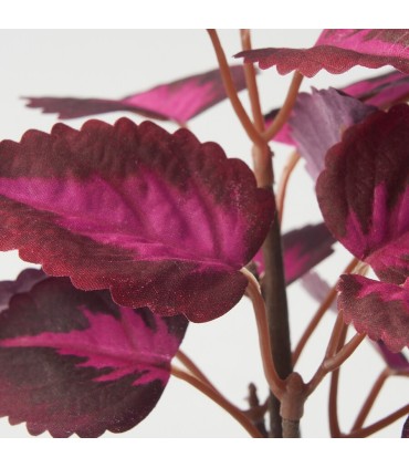 بوته گزنه ایکیا مدل FEJKA