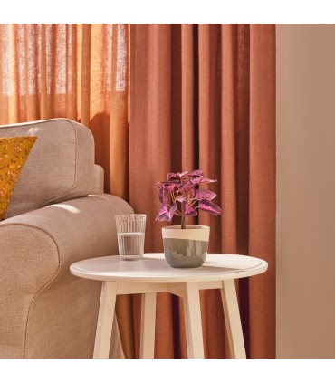 بوته گزنه ایکیا مدل FEJKA