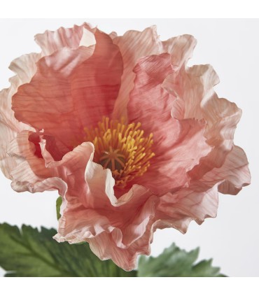 شاخه گل خشخاش ایکیا مدل SMYCKA نارنجی