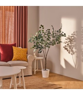 درختچه اوکالیپتوس ایکیا مدل FEJKA