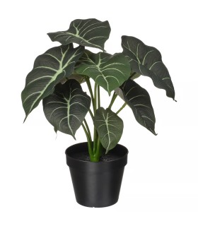 بوته گیاه فیل گوش ایکیا مدل FEJKA