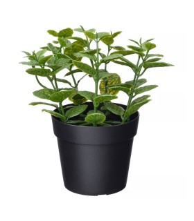 بوته نعناع ایکیا مدل FEJKA