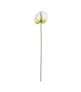 شاخه گل آنتوریوم ایکیا مدل FEJKA