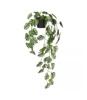 بوته مونسترا آویز ایکیا مدل SMYCKA