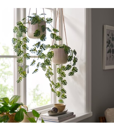 بوته مونسترا آویز ایکیا مدل SMYCKA