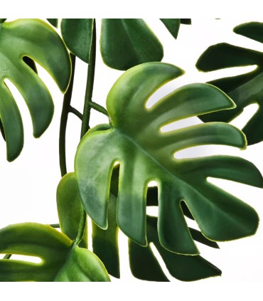 بوته مونسترا آویز ایکیا مدل SMYCKA