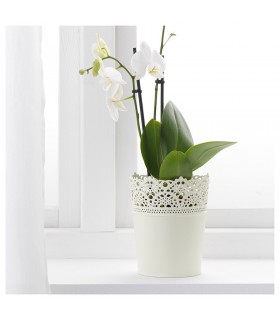 گلدان کوچک ایکیا مدل SKURAR