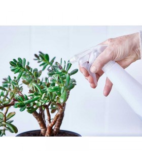 اسپری آب گل و گیاه مدل TOMAT