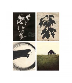 پوستر ایکیا مدل BILD بسته چهارتایی با ابعاد 40x50